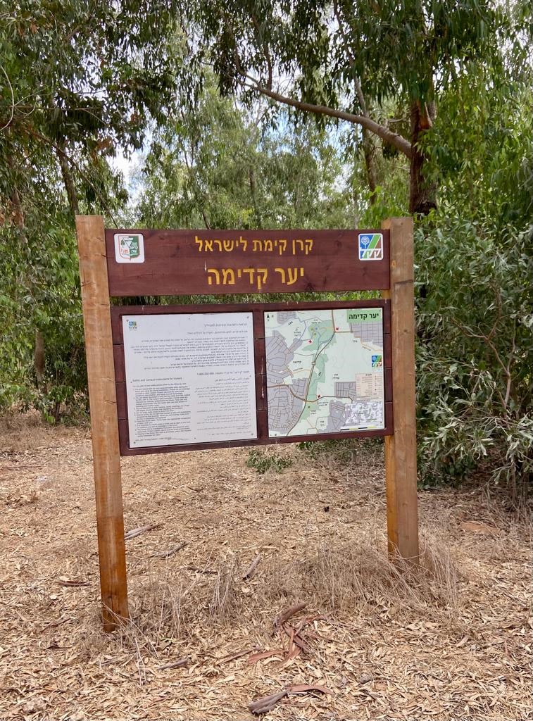 יער קדימה